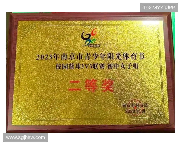 南京篮球队在锦标赛中的力量展现与战术分析全景点评 南京篮球队在锦标赛中的力量展现与战术分析全景点评
