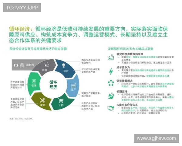 深圳乒乓球队转型之路的挑战与机遇全景解析 深圳乒乓球队转型之路的挑战与机遇全景解析