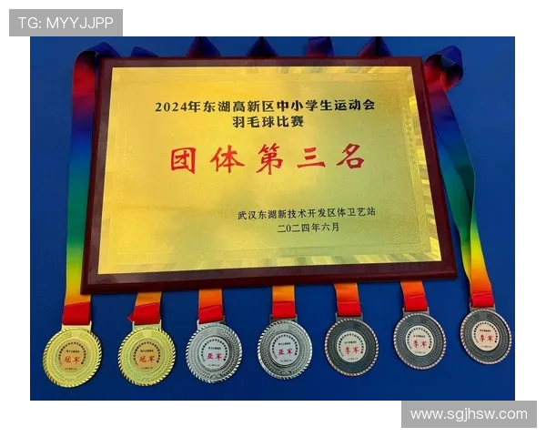 羽毛球心理素质评比揭晓北京羽毛球队荣登第十名榜单