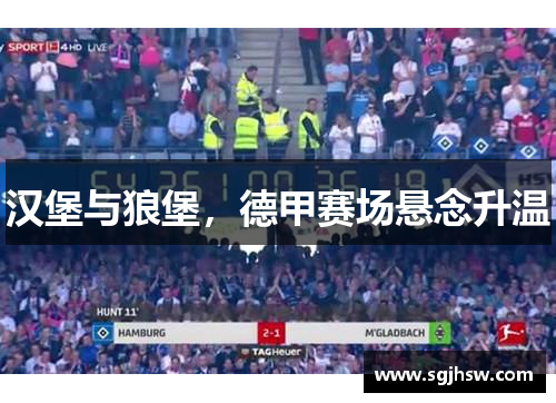 汉堡与狼堡，德甲赛场悬念升温